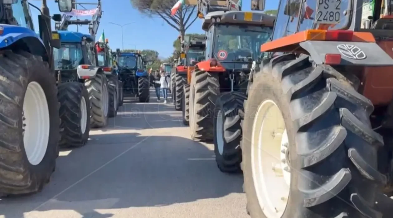 2024_protesta-agricoltori-trattori-rosarno-polistena